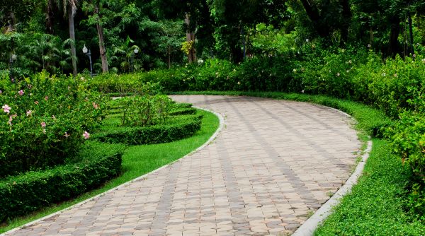 Paver Walkway Repair in Magnolia