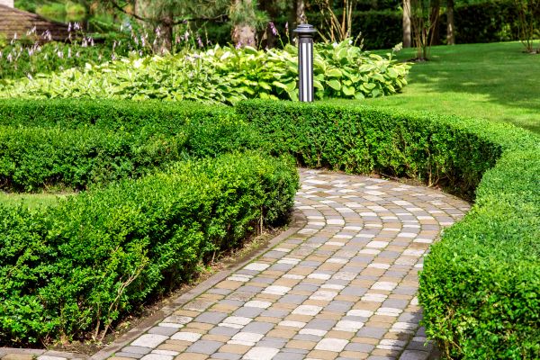 Paved Landscaping in Magnolia