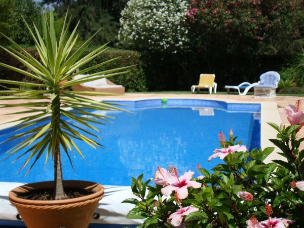 Pool Terrace Renovation in Magnolia