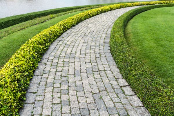 Sidewalk Pavers Installation in Magnolia