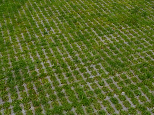 Permeable Pavement Service in Magnolia
